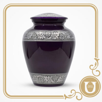 Radiant Band Violet