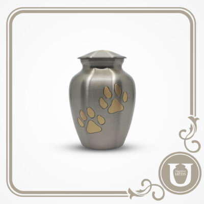 Classic - Gold Paw Large