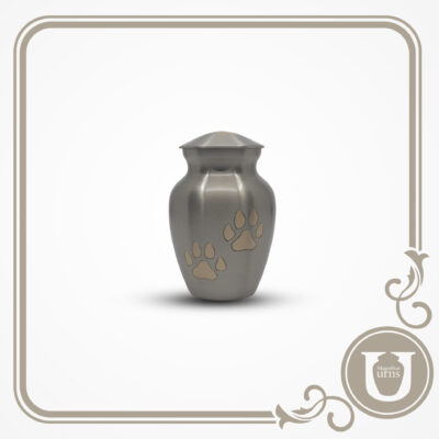 Classic - Gold Paw Small