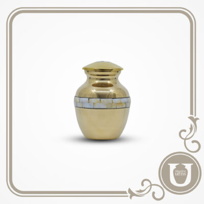 MOP Gold Paw Small