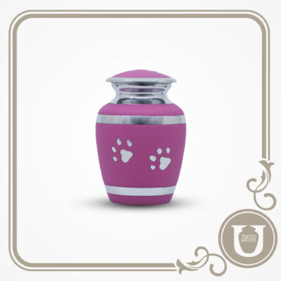 Medallion Paw Pink